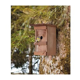 Nichoir À Oiseaux En Bois Massif Verni