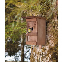 Nichoir À Oiseaux En Bois Massif Verni