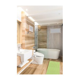 tapis multi usage uni anis 65x90cm