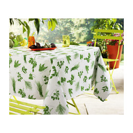 Nappe toile cirée aromates vert rectangle