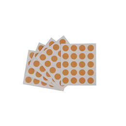 Cache-vis hêtre x100