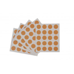 Cache-vis hêtre x100