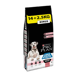 Croquettes chien Large Athletic Sensitive Skin - Saumon - 14+2.5kg