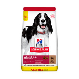 Aliment chien Canine Adult Medium Agneau Riz 14kg