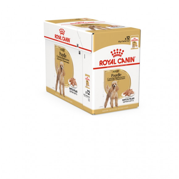 Croquettes chien CANICHE ADULT 12X85G