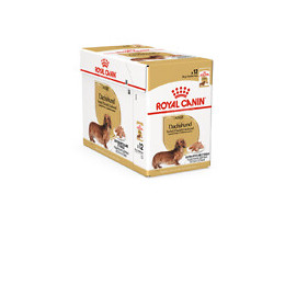 Aliment chien TECKEL ADULT 12X85G