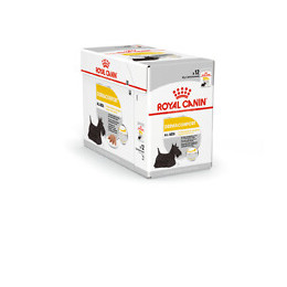 Aliment chien DERMACOMFORT MOUSSE 12x85g