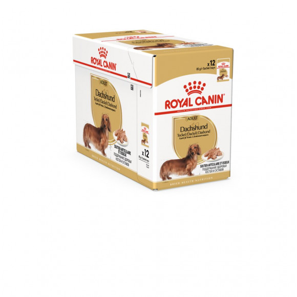 Aliment chien TECKEL ADULT 12X85G