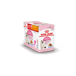 Aliment chat KITTEN GELEE 12x85g dont 4 gratuit