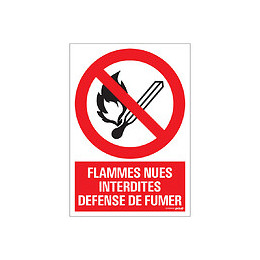 Panneau 23x33cm Flammes nues