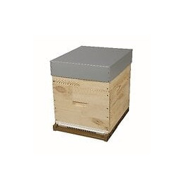 Ruche ddt10 cadres toit