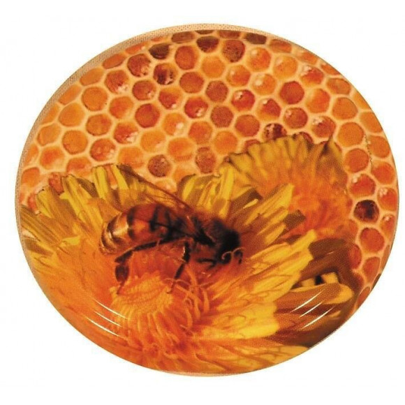 Capsule TO 82 florabeille / sachet de 48