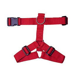 Harnais nylon chien 40 60cm rouge