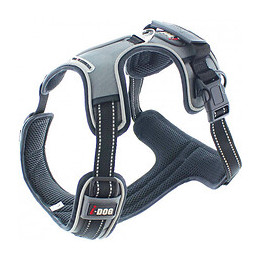 Harnais Style I dogM