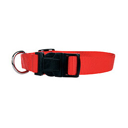 Collier nylon chien 40 50cm rouge