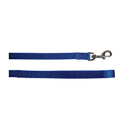Laisse nylon 1m 15mm bleu