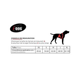 Harnais Style I dogM