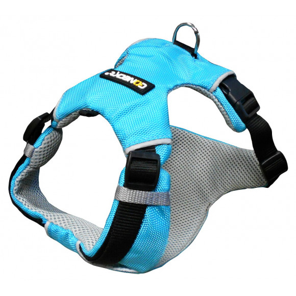Harnais sport Coneck't taille S 58-70cm bleu