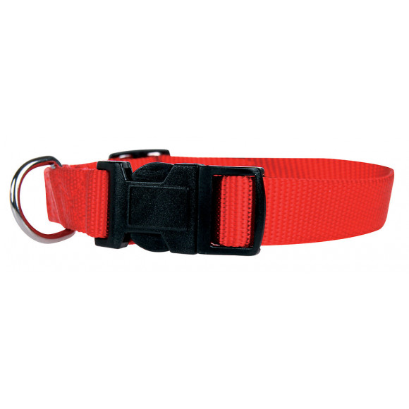 Collier nylon chien 40 50cm rouge