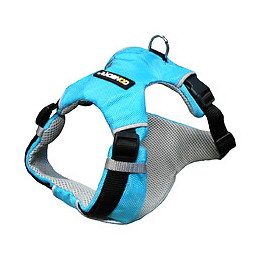 Harnais sport Coneck't taille S 58-70cm bleu