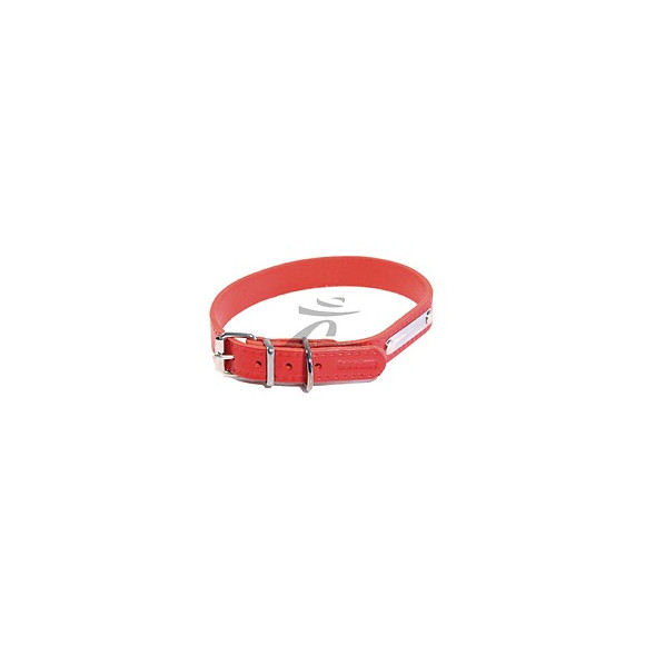 Collier pour chien riveté 18mmx45cm rouge