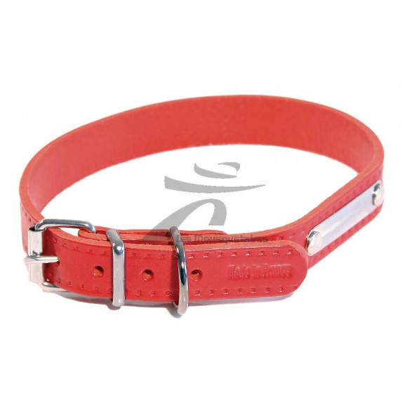 Collier pour chien riveté 18mmx45cm rouge