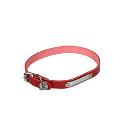 Collier pour chien riveté 14mmx40cm rouge