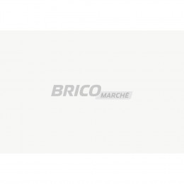 COLLIER EDUCATIF CANICOM VOICE 200