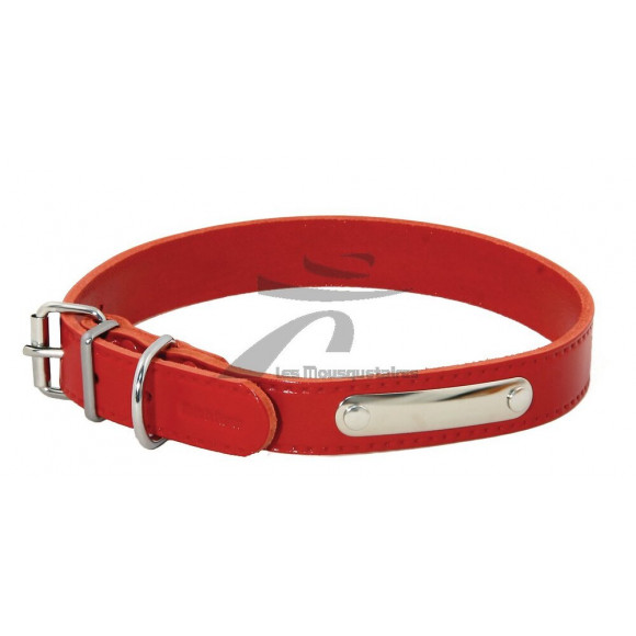 Collier pour chien riveté 22mmx55cm rouge