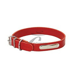 Collier pour chien riveté 22mmx55cm rouge