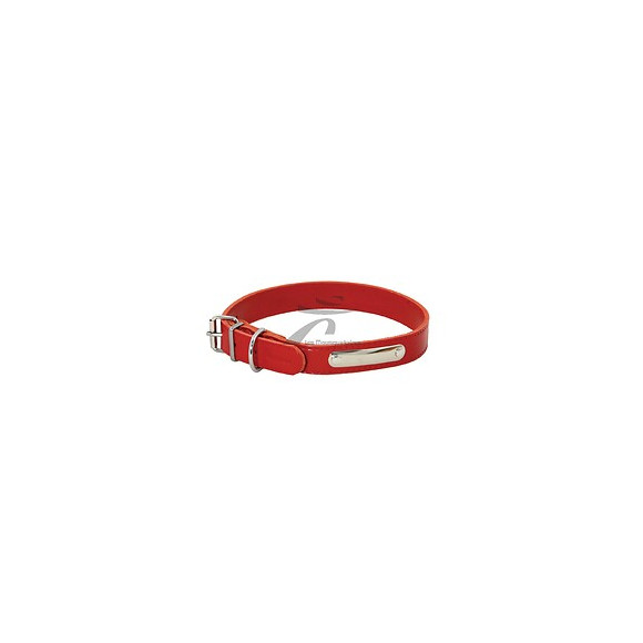 Collier pour chien riveté 22mmx55cm rouge