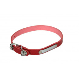 Collier pour chien riveté rouge 12mmx35cm