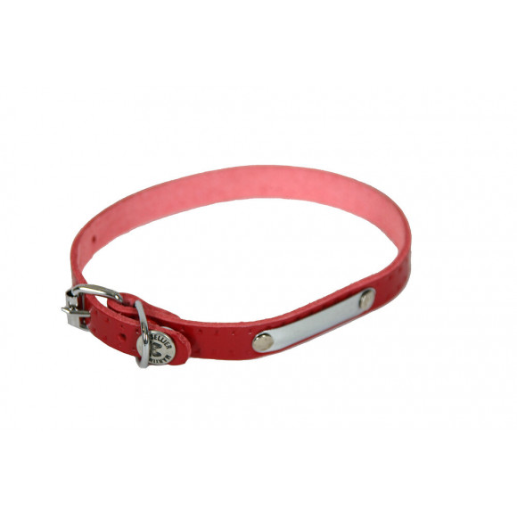 Collier pour chien riveté rouge 12mmx35cm