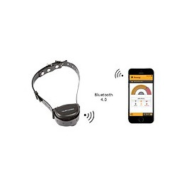 Collier Canicalm Smart anti-aboiement