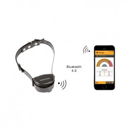 Collier Canicalm Smart anti-aboiement