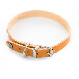 Collier pour chien riveté noir 10mmx30cm naturel