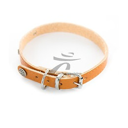 Collier pour chien riveté 22mmx55cm naturel