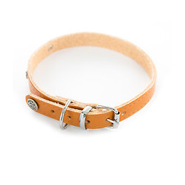 Collier pour chien riveté 25mmx60cm naturel