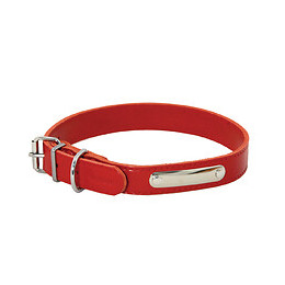 Collier pour chien riveté 30mmx65cm rouge