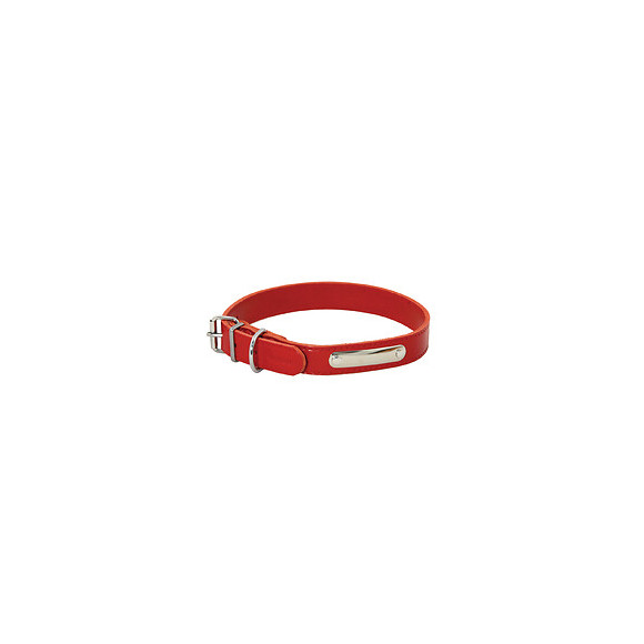 Collier pour chien riveté 30mmx65cm rouge