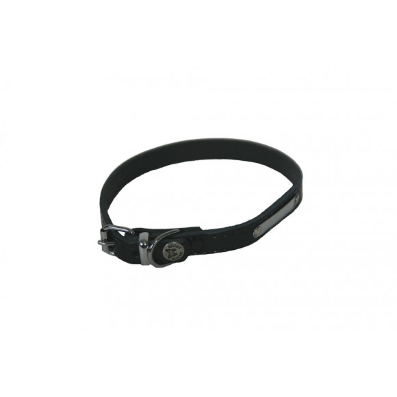 Collier pour chien riveté noir 10mmx30cm noir