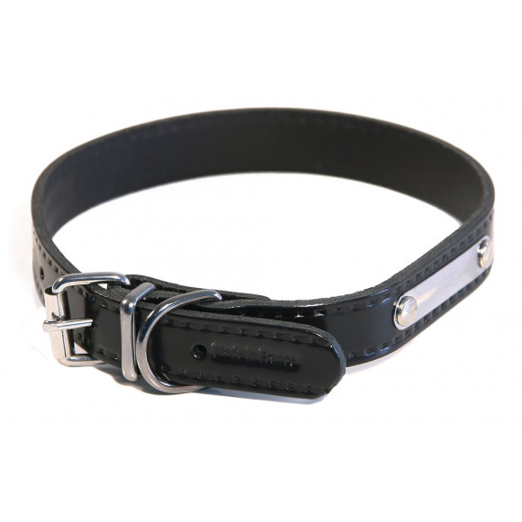 Collier pour chien riveté 25mmx60cm noir