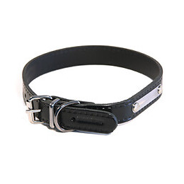 Collier pour chien riveté 20mmx50mm noir