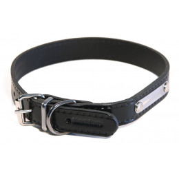 Collier pour chien riveté 20mmx50mm noir