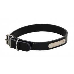 Collier pour chien riveté 30mmx65cm noir
