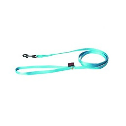 Laisse pour chien Confort en nylon turquoise 120cm