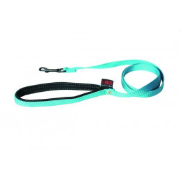 Laisse pour chien Confort en nylon turquoise 25mm