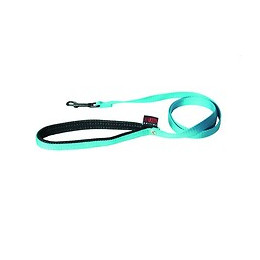 Laisse pour chien Confort en nylon turquoise 25mm