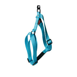 Harnais pour chien réglable en nylon turquoise 36cm