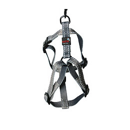 Harnais pour chien Reflex gris Longueur 35/50cm